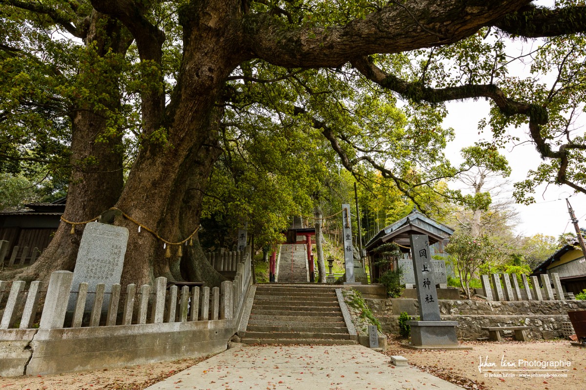 Shikoku, 88 sacred temple of Shikoku, Japan, 88 temples sacrés de Shikoku