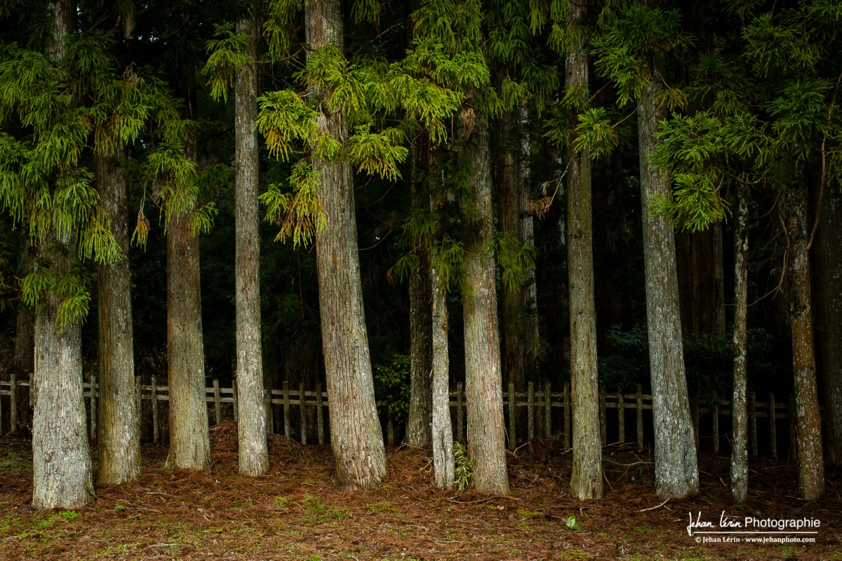 Koyasan, Kansaï, Japan