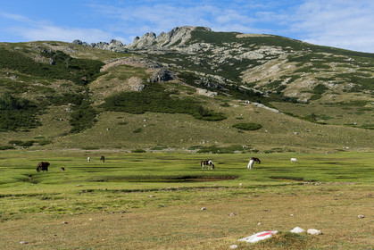 gr20_corse_jl_1dx_25-07-2016-0909.jpg