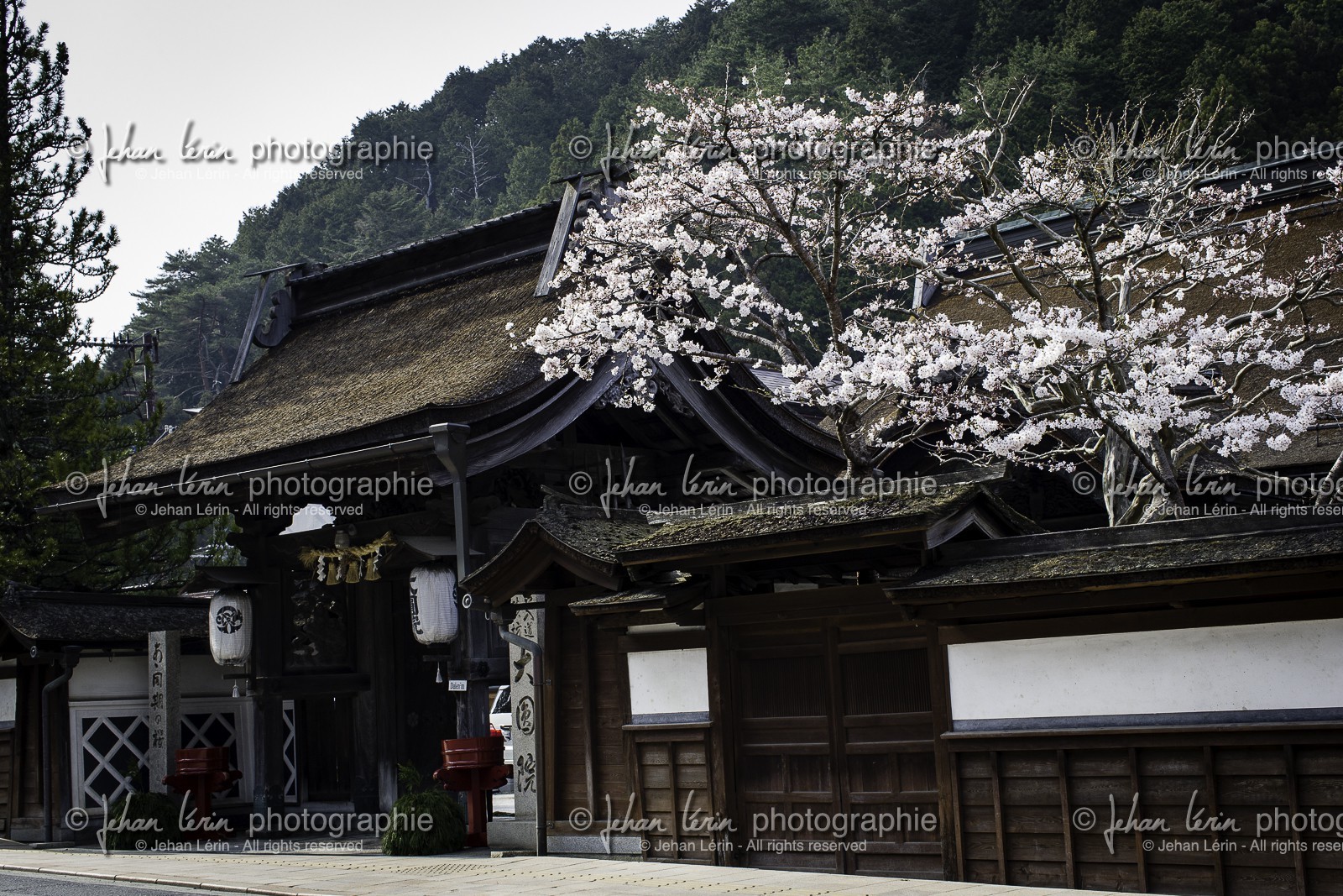 koyasan_japon_jl_1dx_17-04-2014-5368.jpg