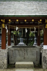 ueno_tokyo_japon_jl_1dx_05-05-2014-6259.jpg