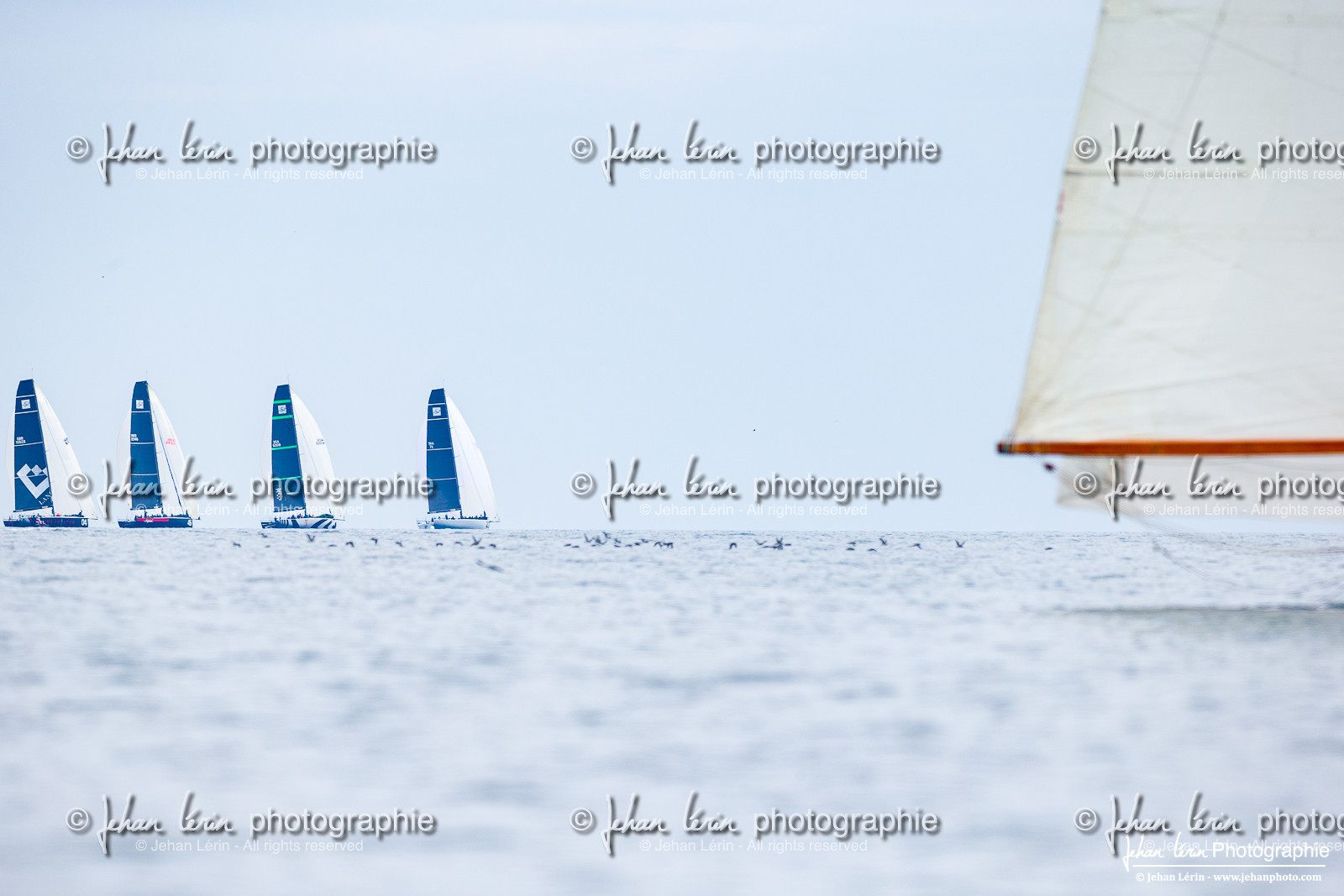 Les Dames de St Tropez