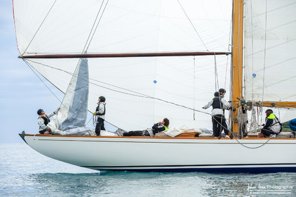 Les Dames de St Tropez