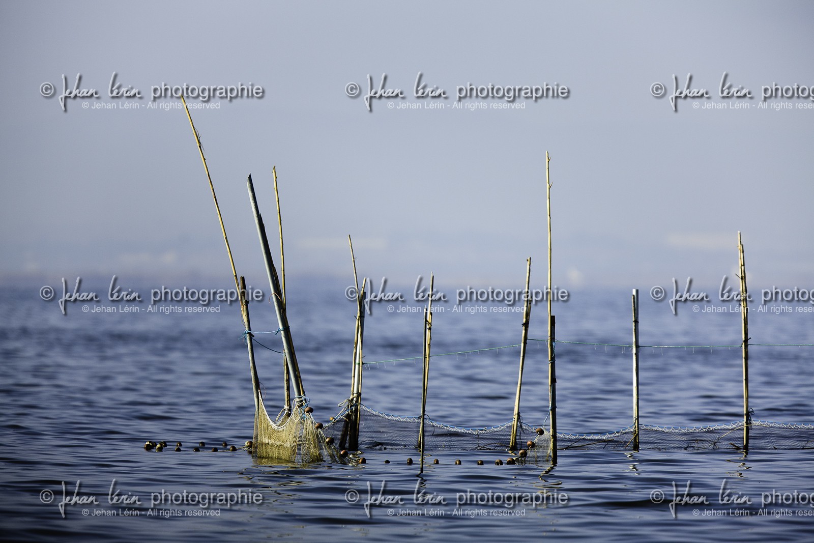 l-albufera_20-01-2011-2056.jpg