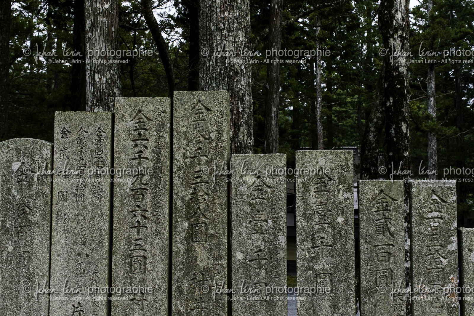 koyasan_japon_jl_1dx_16-04-2014-5165.jpg