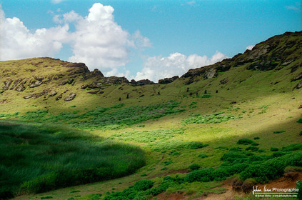 Easter Island - Île de Pâques