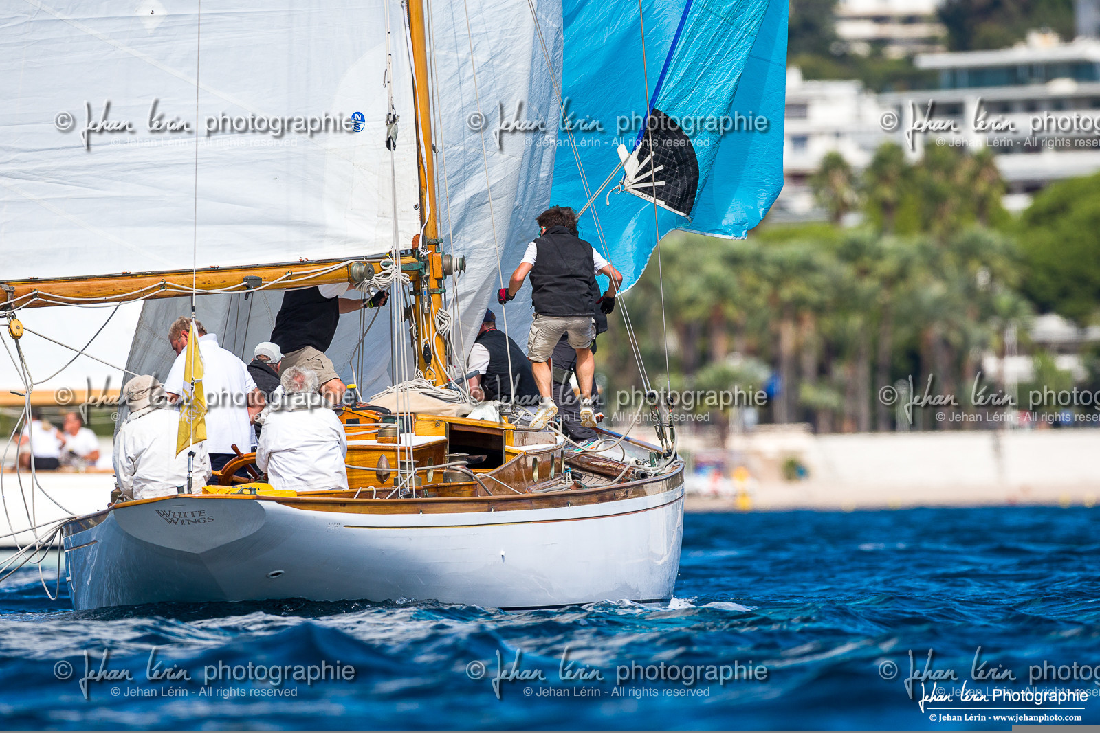 Régates Royales 2025