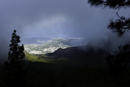 tenerife_avril_2010-1242.jpg