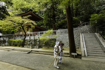 yakuriji_temple-85_shikoku_japon_10-04_2014-1181.jpg