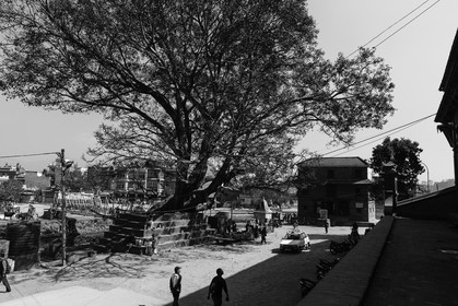 nepal_kathmandu_boudhanath-district_10-02-2013-36366.jpg