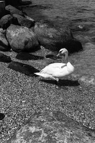 sirmione_lac-de-garde_italia_15-08-2013-4114.jpg