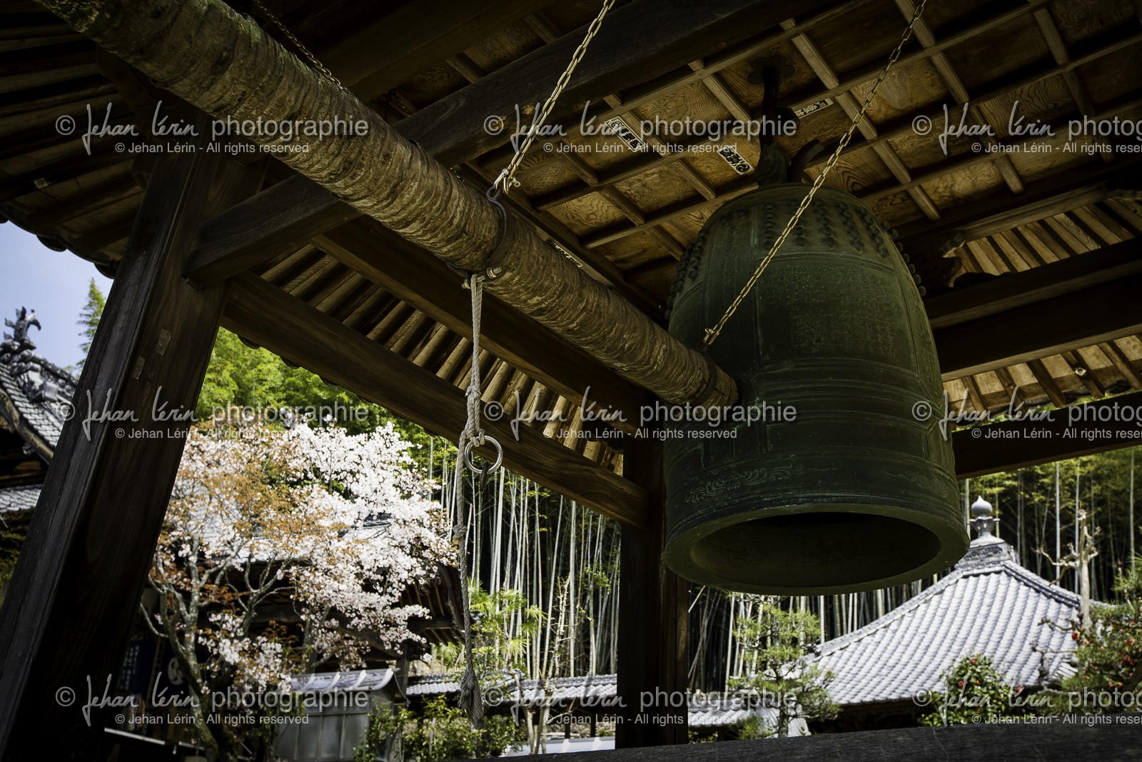 eifukuji_temple-57_shikoku_japon_01-04_2014-0912.jpg