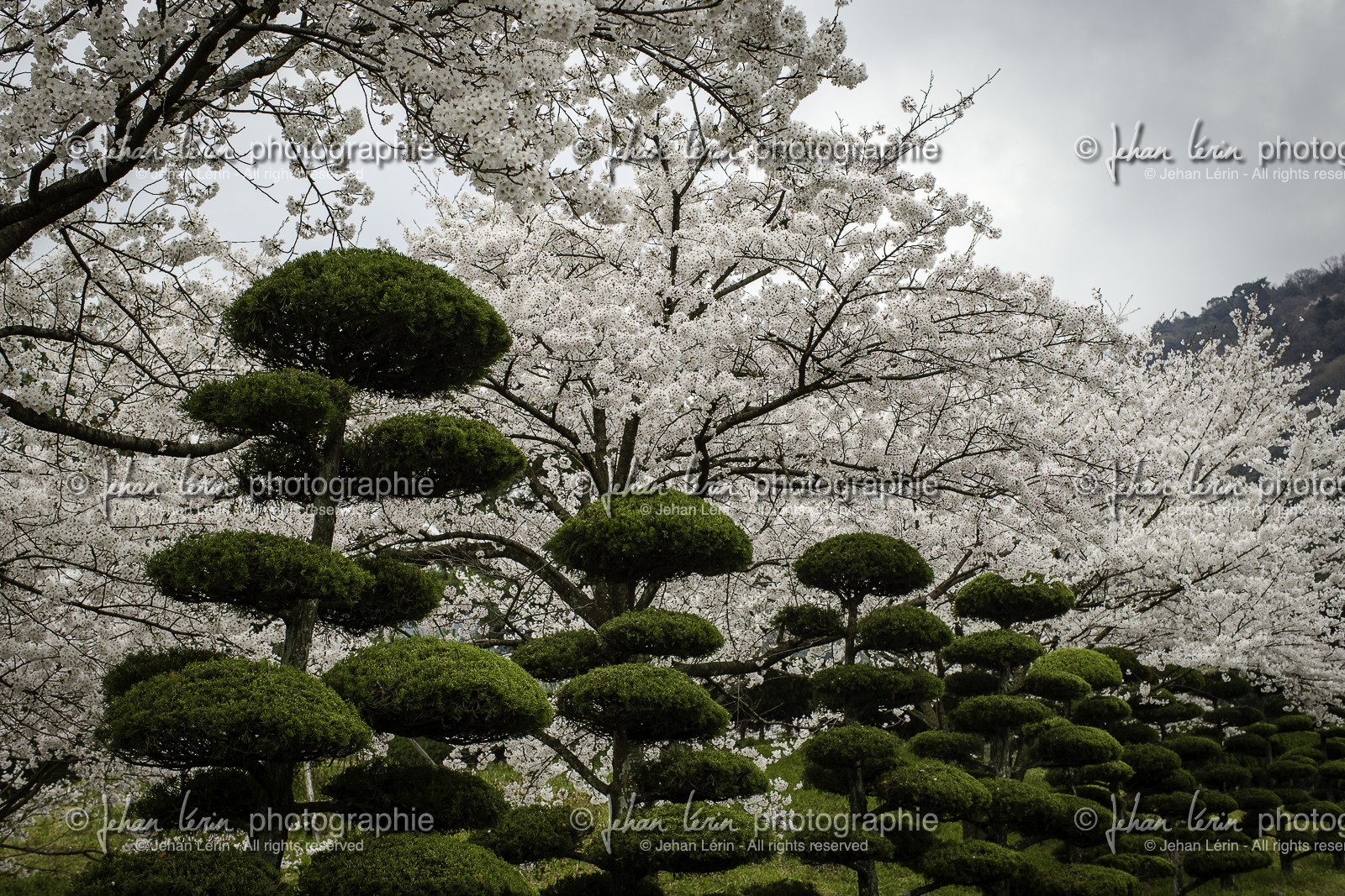 trim-park_en-route-vers_temple-65_shikoku_japon_03-04_2014-3776.jpg