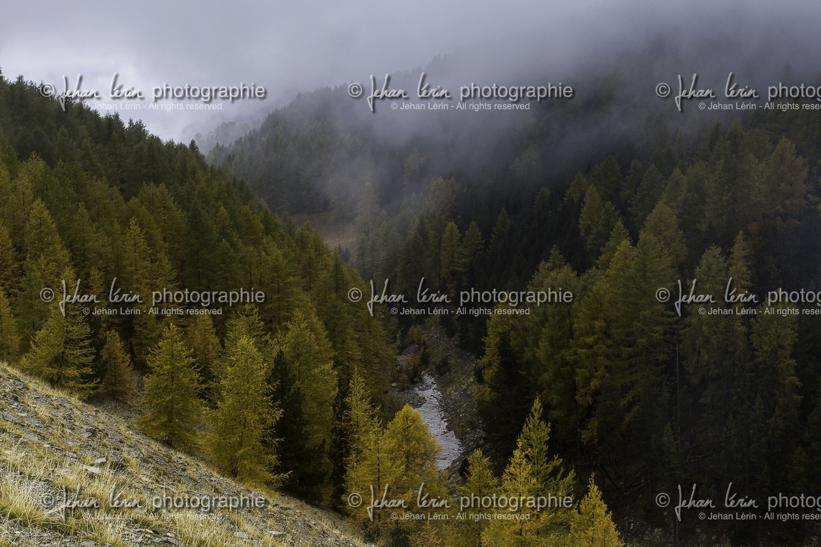 lac-de-lignin_peyresq_17-10-2015-0993.jpg
