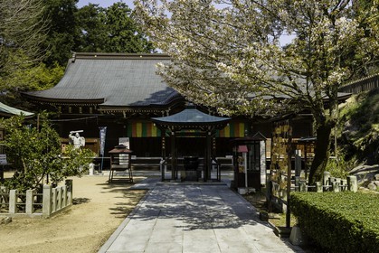 shiromineji_temple-81_shikoku_japon_09-04_2014-1057.jpg