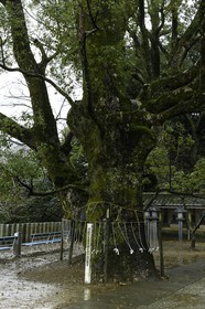 yakuoji_temple-23_shikoku_japon_13-03_2014-2444.jpg