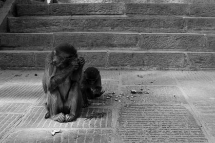 nepal_kathmandu_swayambhunath_27-02-2013-37287.jpg