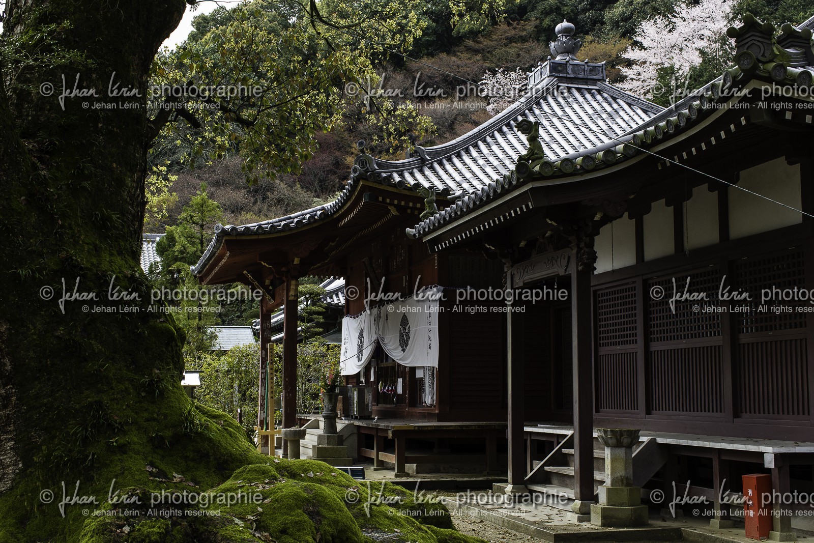 kanonji-et-jinnein_temples-68-et-69_shikoku_japon_06-04_2014-3934.jpg