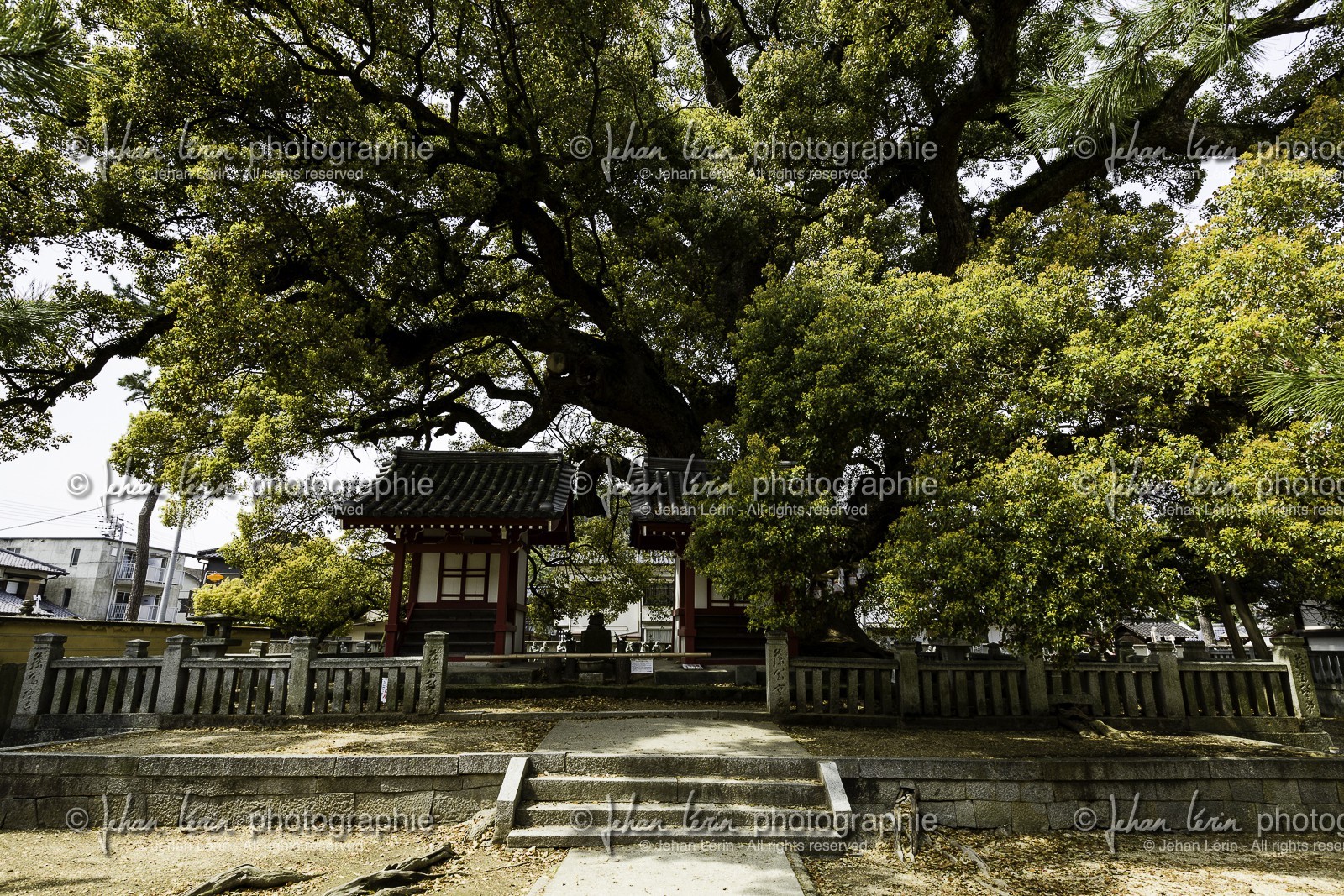zentsuji_temple-75_shikoku_japon_07-04_2014-1033.jpg