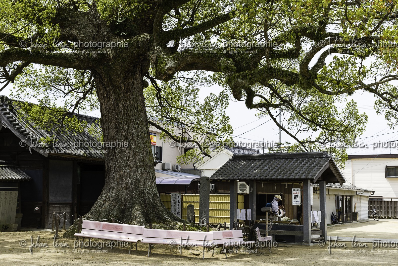 nagaoji_temple-87_shikoku_japon_11-04_2014-4660.jpg