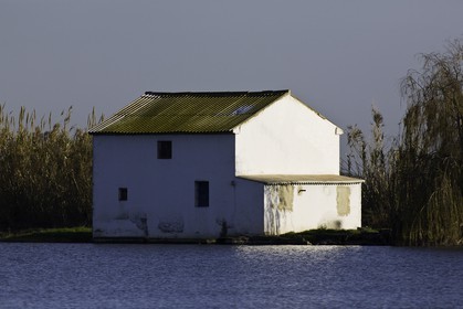 l-albufera_valencia_18-01-2012-0047.jpg