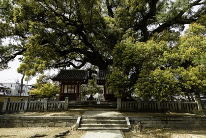 zentsuji_temple-75_shikoku_japon_07-04_2014-1033.jpg