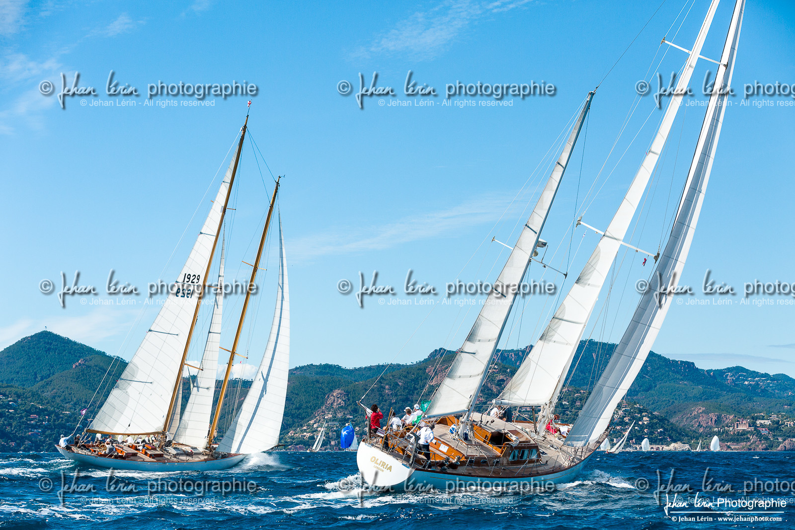 Régates Royales 2024