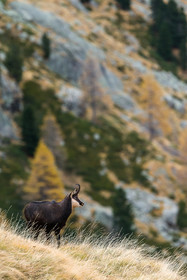 la-gordolasque_jehan-lerin_jl_1dx_11-11-2021-0131.jpg