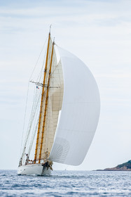Les Dames de St Tropez