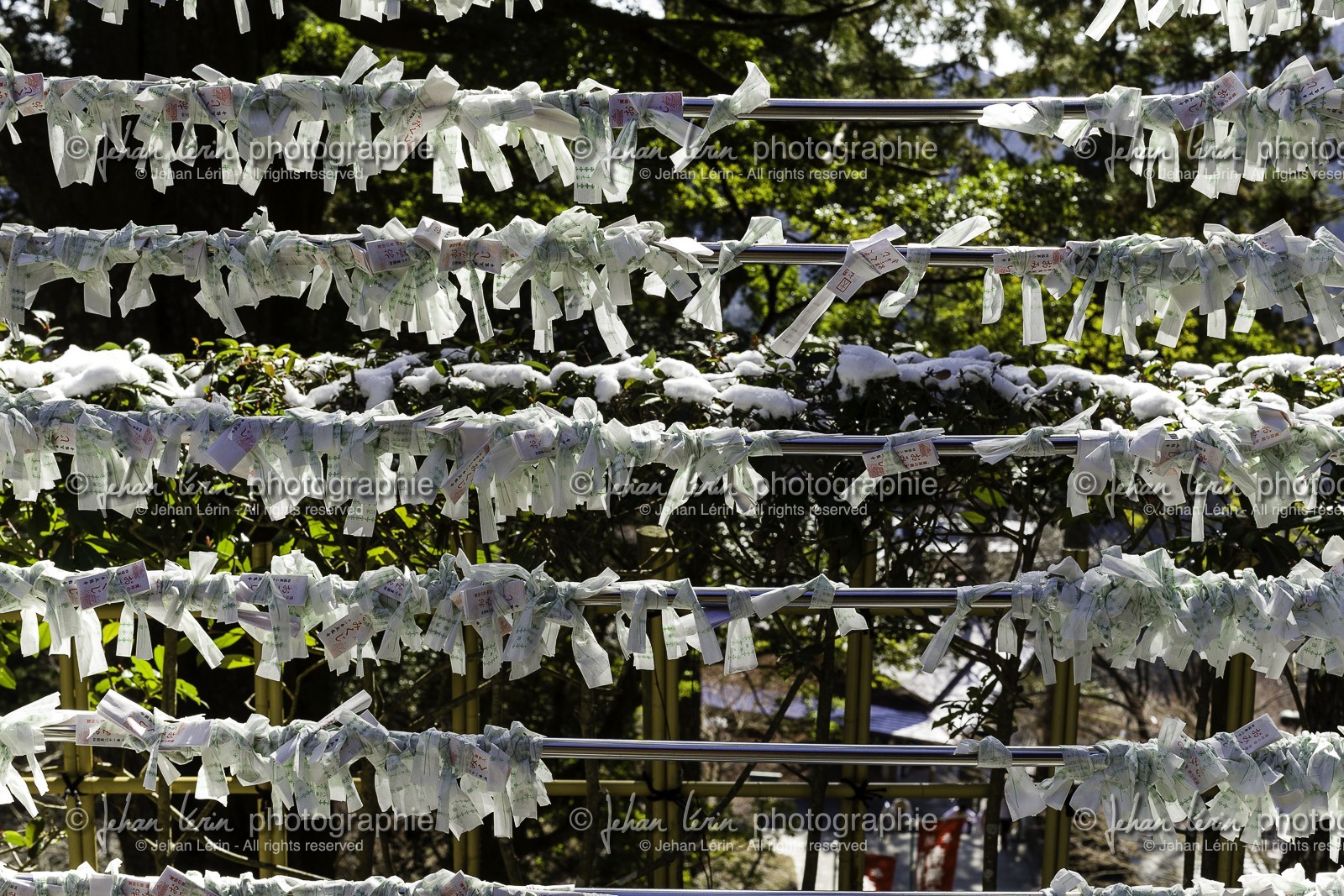 tairyuji_temple-21_shikoku_japon_11-03_2014-2340.jpg