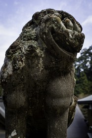 yokomineji_temple-60_shikoku_japon_02-04_2014-3640.jpg