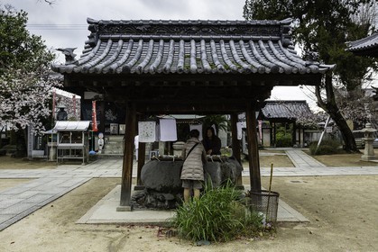enmyoji_temple-53_shikoku_japon_30-03_2014-0834.jpg