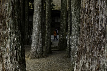 koyasan_japon_jl_1dx_16-04-2014-5120.jpg