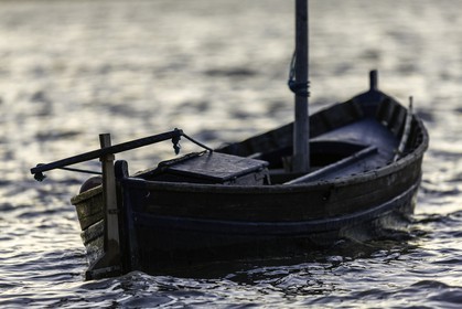 l-albufera_valencia_17-12-2009-7312.jpg