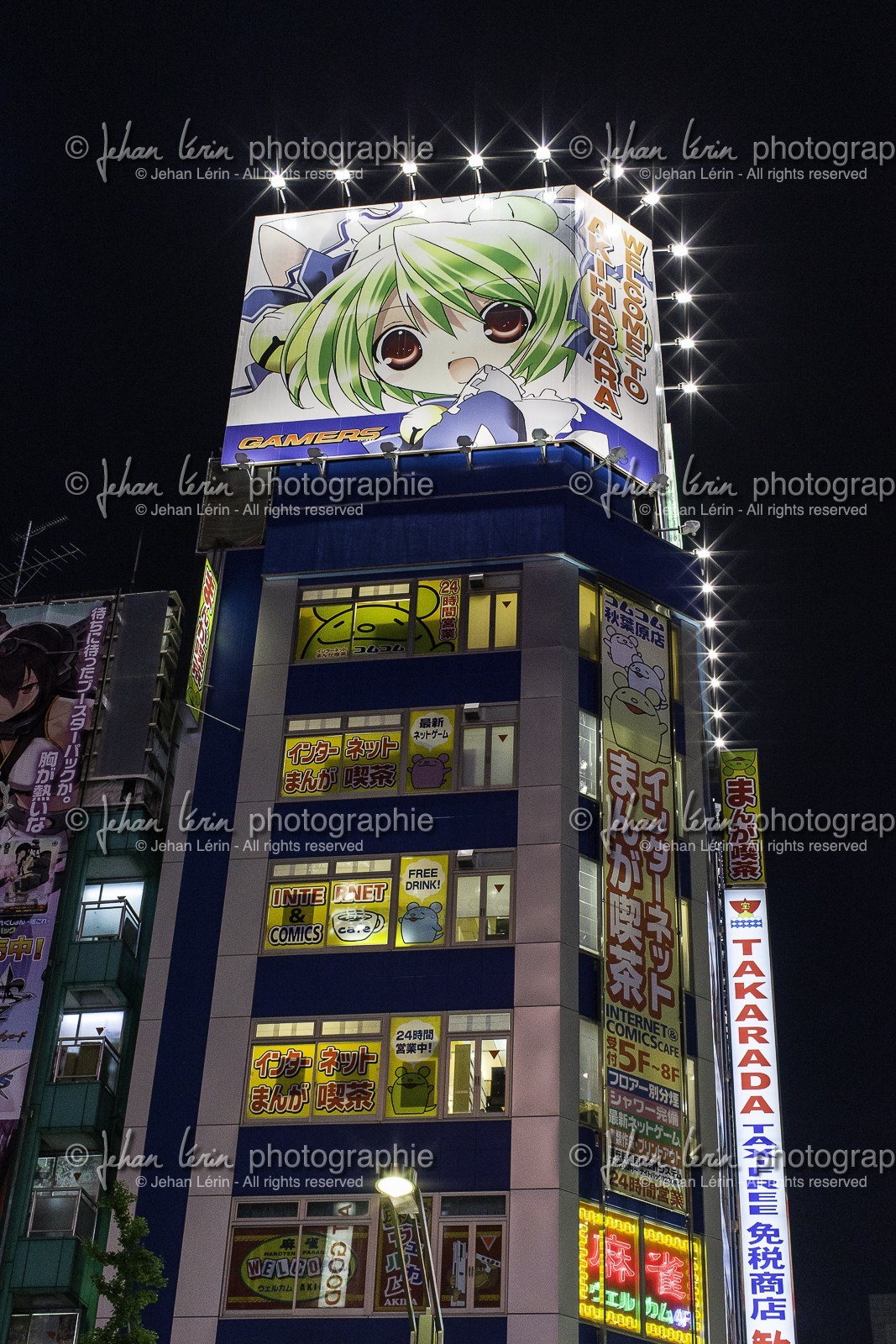akihabara_tokyo_japon_jl_1dx_03-05-2014-6089.jpg