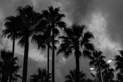 cannes_france_13-10-2013-4960.jpg