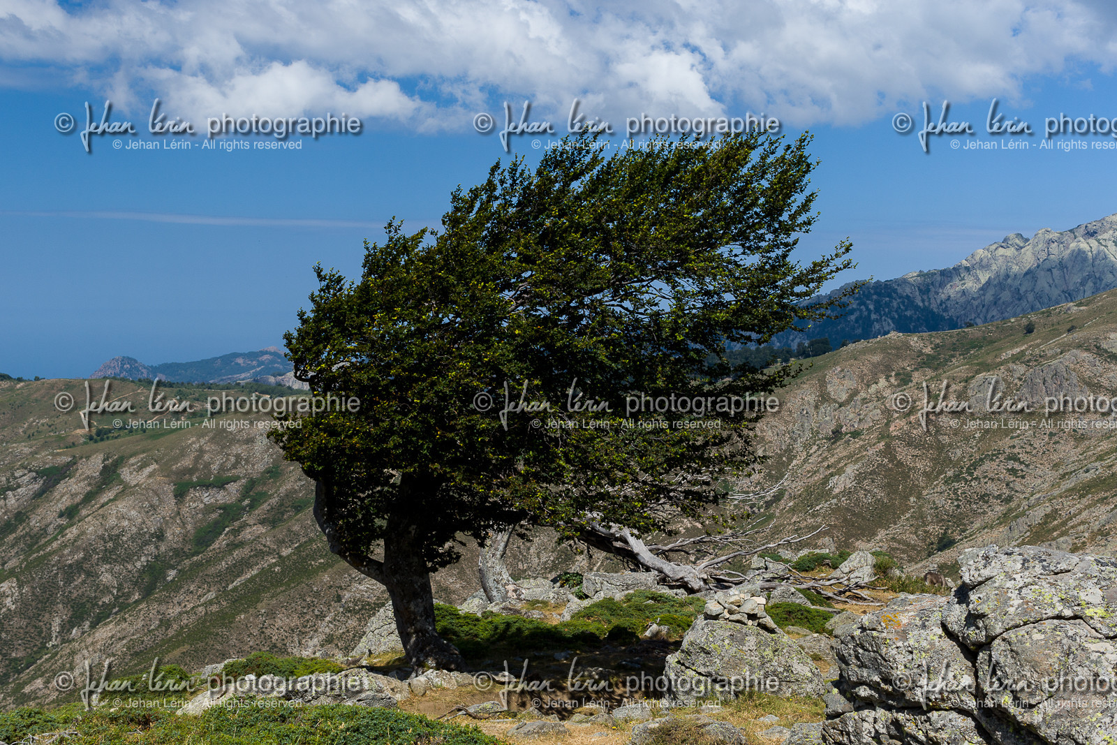 gr20_corse_jl_1dx_25-07-2016-0960.jpg