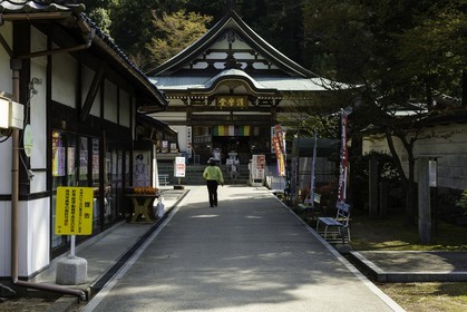 shiromineji_temple-81_shikoku_japon_09-04_2014-4449.jpg