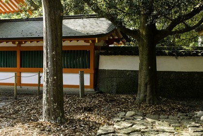 kumano-hayama-taisha_kumano-kodo-pilgrimage_shingu_japon_26-04-2014-5839.jpg