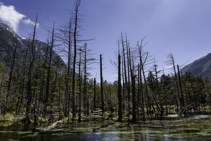 kamikochi_japon_jl_5d3_02-05-2014-1512.jpg