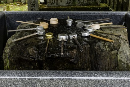 fujiidera_temple-11_shikoku_japon_06-03_2014-1943.jpg