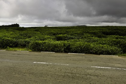 ile-maurice_aout-2009-4068.jpg