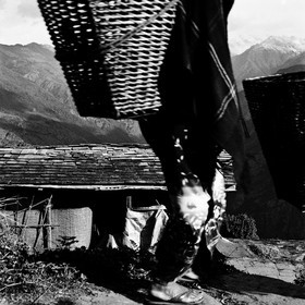 sherpa.jpg