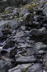 vallee-des-merveilles_10-10-2015-0771.jpg