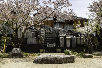 nagaoji_temple-87_shikoku_japon_11-04_2014-4646.jpg