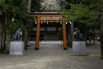 koyasan_japon_jl_1dx_16-04-2014-5122.jpg