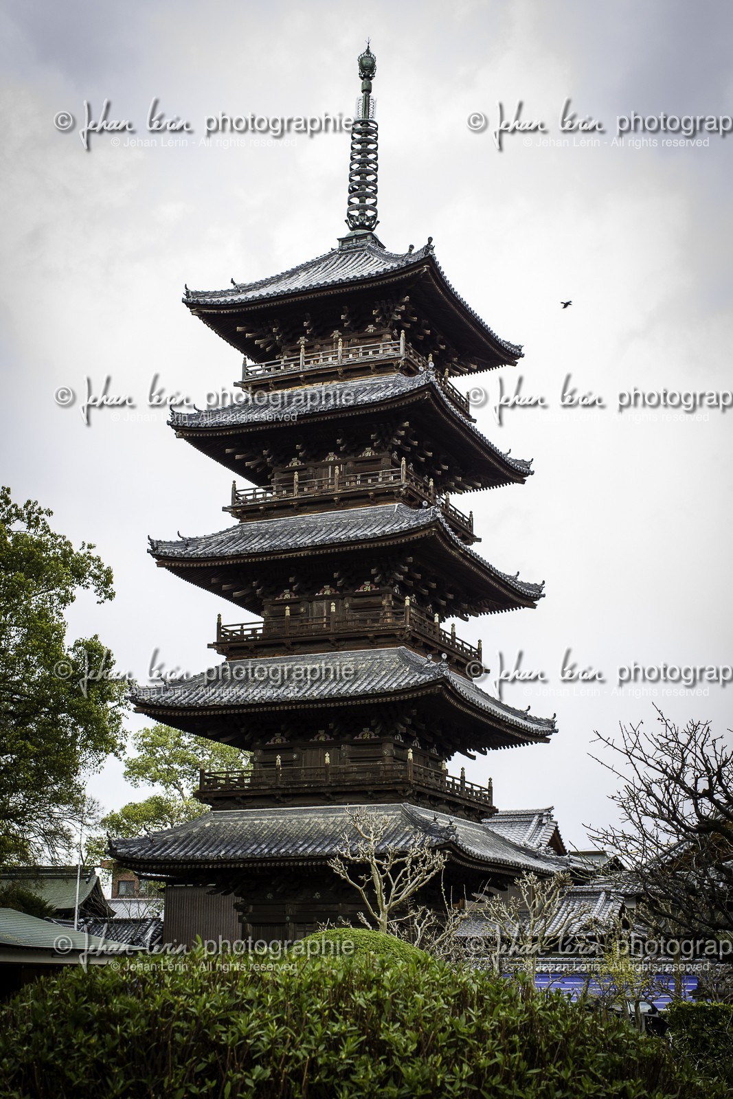 motoyamaji_temple-70_shikoku_japon_06-04_2014-3983.jpg