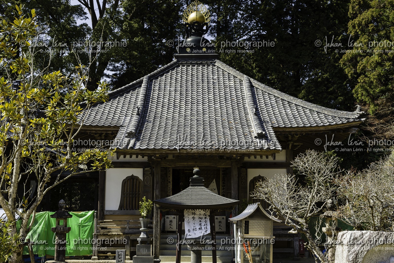 butsumokuji_temple-42_shikoku_japon_24-03_2014-3121.jpg