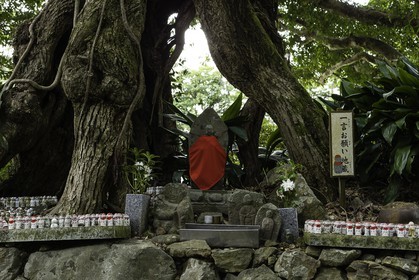 cap-muroto_hotsumisakiji_temple-24_shikoku_japon_14-03_2014-2524.jpg