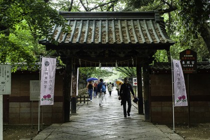 ueno_tokyo_japon_jl_1dx_05-05-2014-6245.jpg